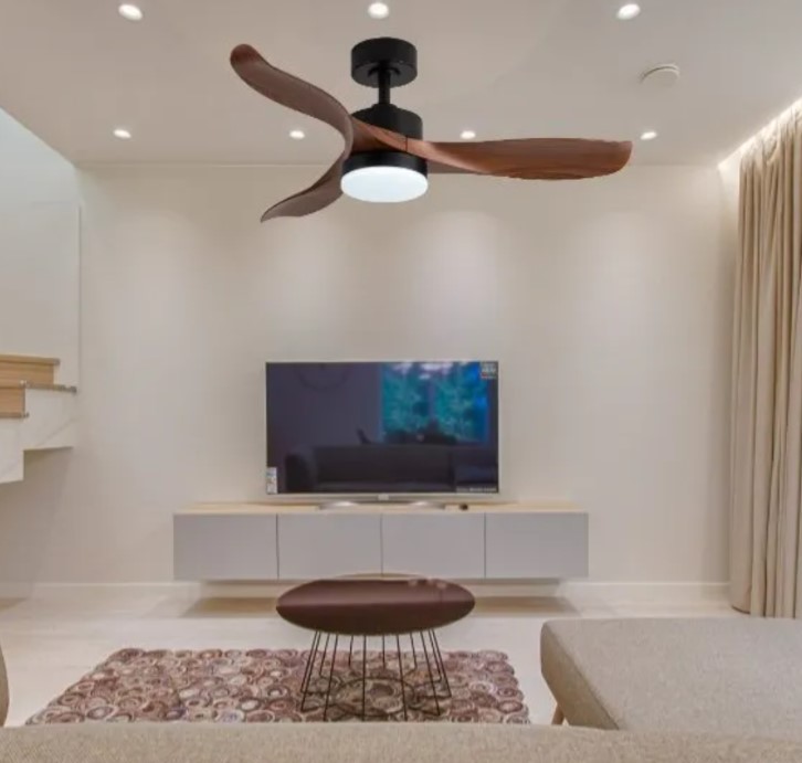 Beat The Heat with Ceiling Fans